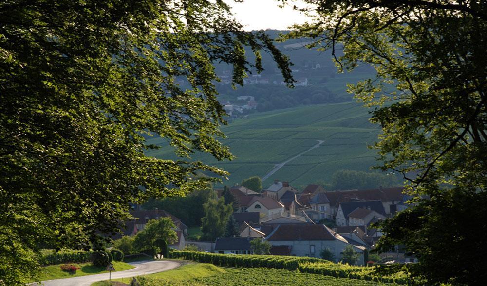 Gite Du " Bas Du Cru " Villa Romery  ภายนอก รูปภาพ